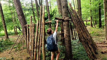 Prepletove gozdne počitnice 03